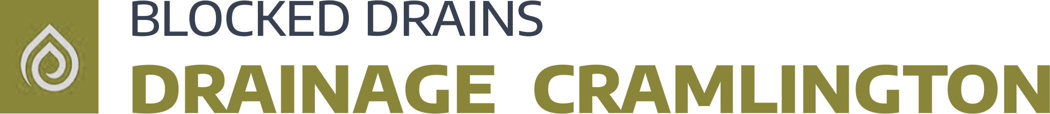 website logo